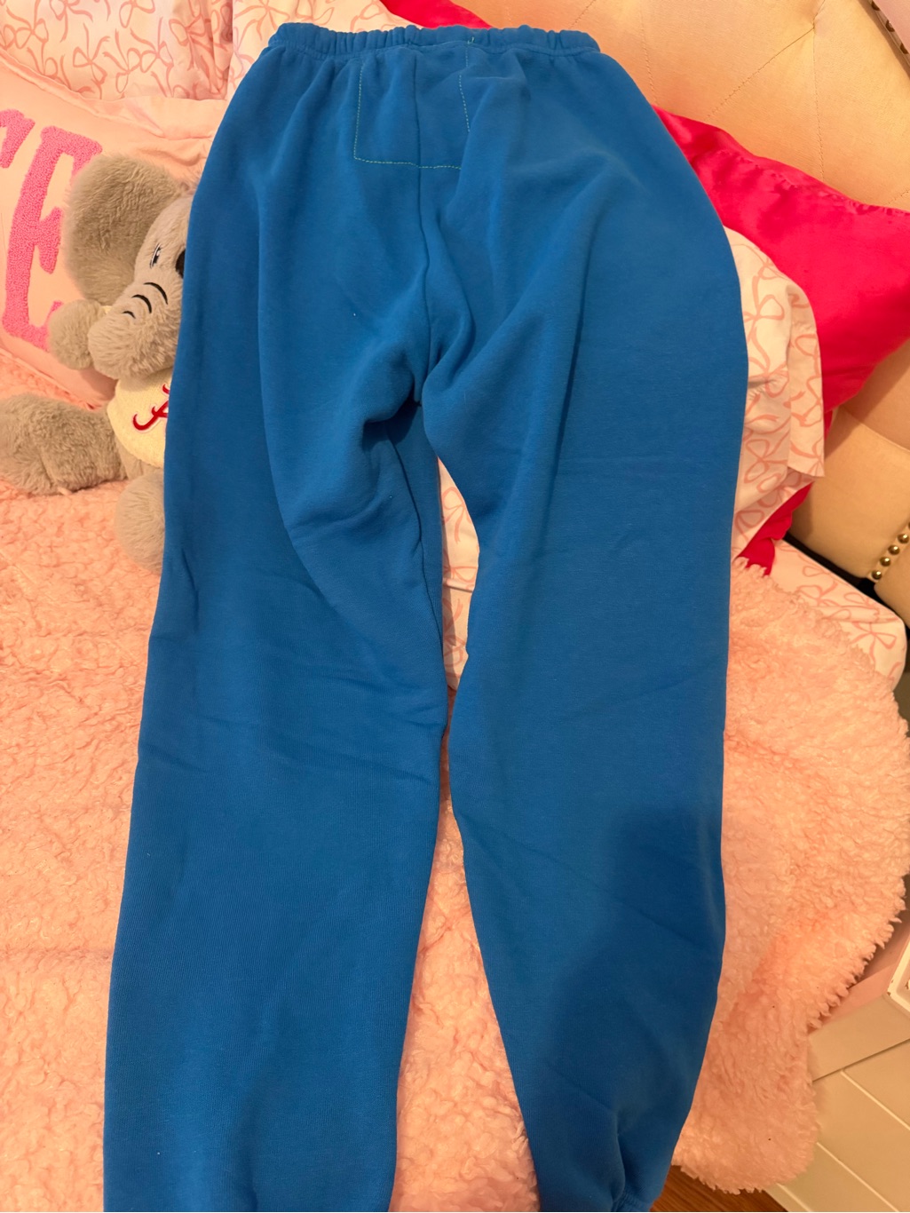 Aviator Nation Bright Blue Sweatpants